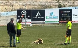 Hakem Kırmızı Kartla Sahaya Giren Köpeği Uzaklaştırdı