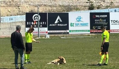 Hakem Kırmızı Kartla Sahaya Giren Köpeği Uzaklaştırdı