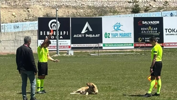 Hakem Kırmızı Kartla Sahaya Giren Köpeği Uzaklaştırdı