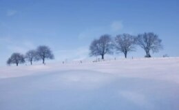 Konya okullar tatil mi? SON DAKİKA 10 Nisan Perşembe Konya’da okul yok mu (Konya Valiliği Açıklaması)?