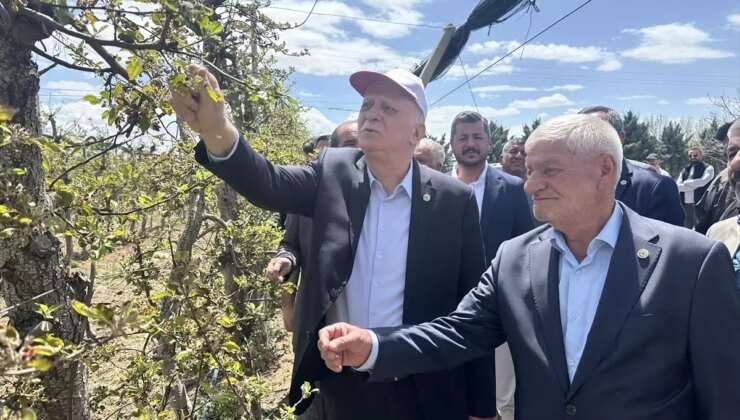 Zirai Don Felaketi: Üreticiler Zorda