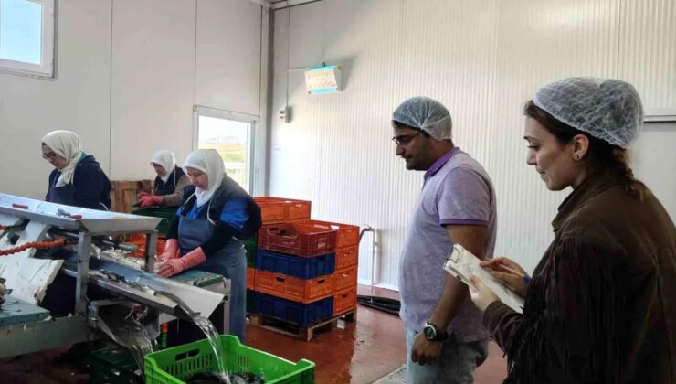 Beyşehir Gölü’nde Su Ürünleri Tesislerine Denetim