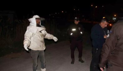 Konya’da Arı Kovanı Yüklü Kamyonet Devrildi: Arılar Etrafa Saçıldı