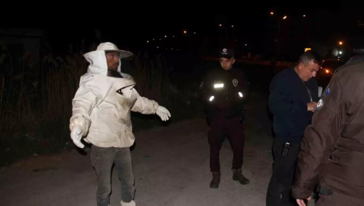 Konya’da Arı Kovanı Yüklü Kamyonet Devrildi: Arılar Etrafa Saçıldı