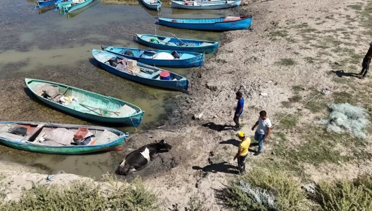 Beyşehir’de Çamura Saplanan İnek Traktörle Kurtarıldı