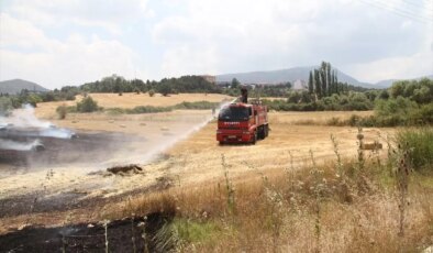 Beyşehir’de Tarla Yangını Kontrol Altına Alındı