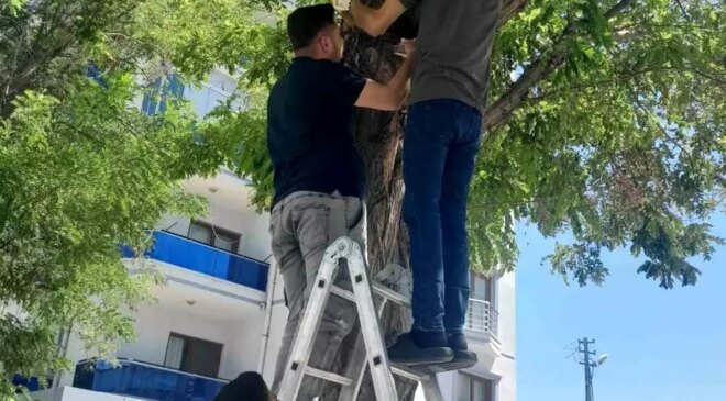 Karapınar’da Ağaçta Sıkışan Kedi Kurtarıldı