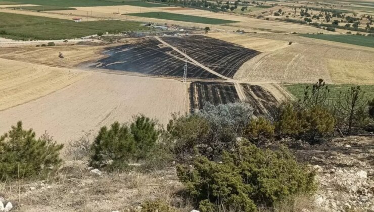 Konya’da Anız Yangını Ormana Sıçradı